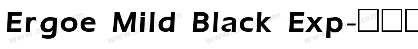 Ergoe Mild Black Exp字体转换